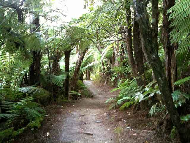 Queen Charlotte Track