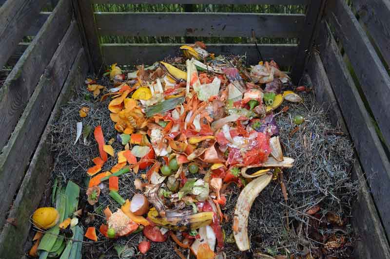  food waste recycling