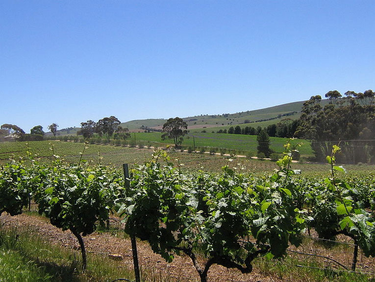 Clare Valley