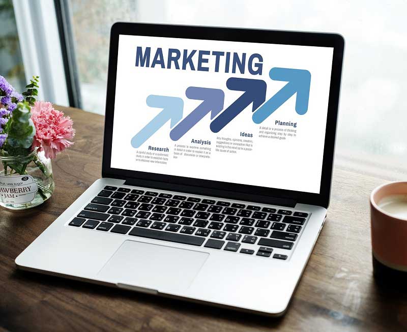 4 Signs Your Business Needs Professional Marketing Help