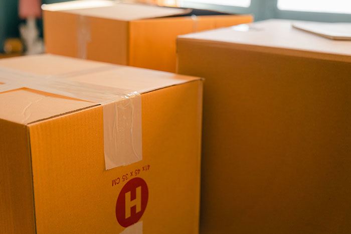 Pack a Box with Moving Day Essentials
