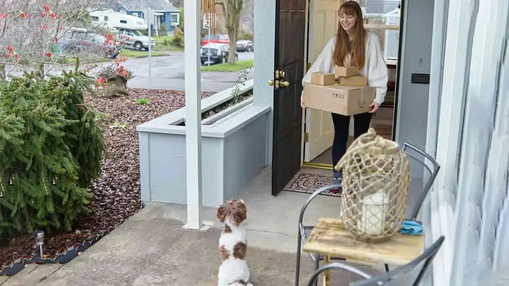 Your Dog Wants to Avoid House Guests