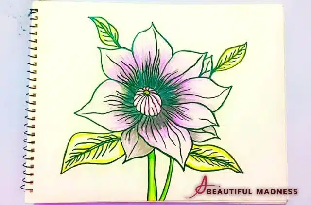 a single flower