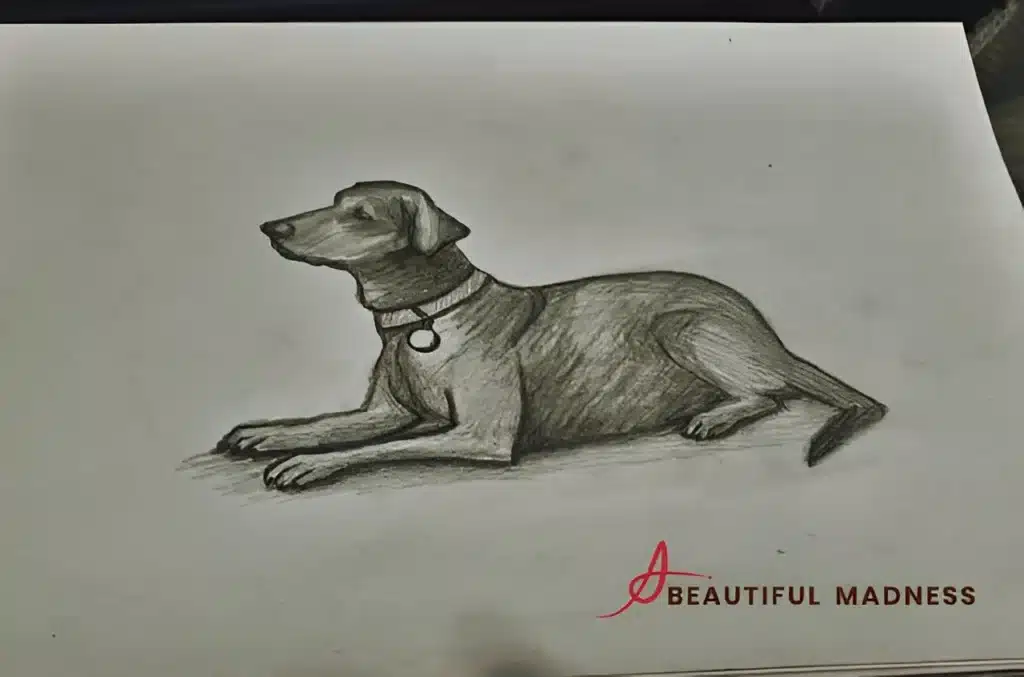 lion pose position while dog sleeping