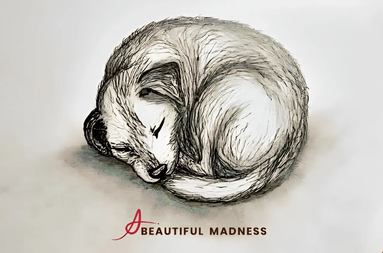 dog sleeping positions