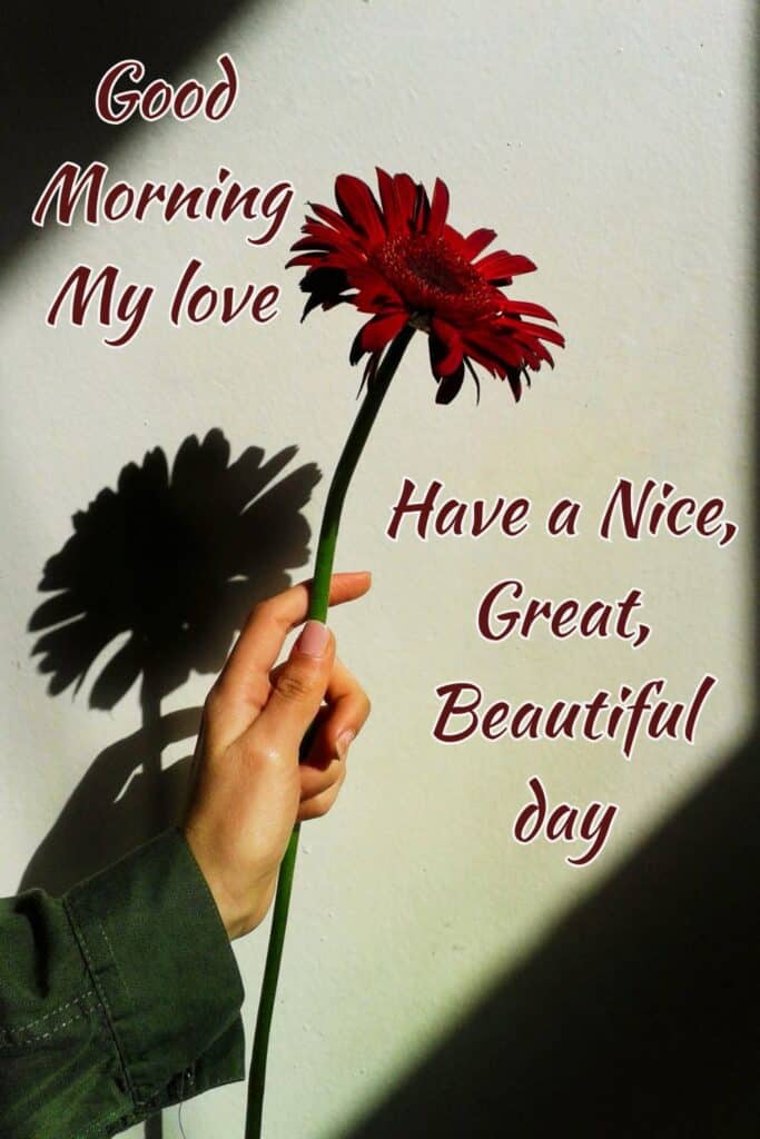 good-morning-have-a-nice-day