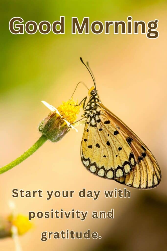 have-a-beautiful-day-butterfly-wallpaper-quote