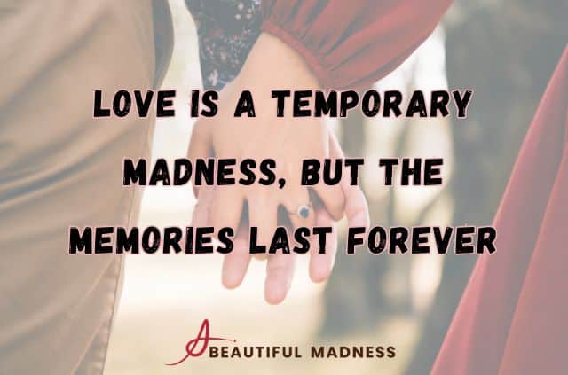 love-is-a-temporary-madness