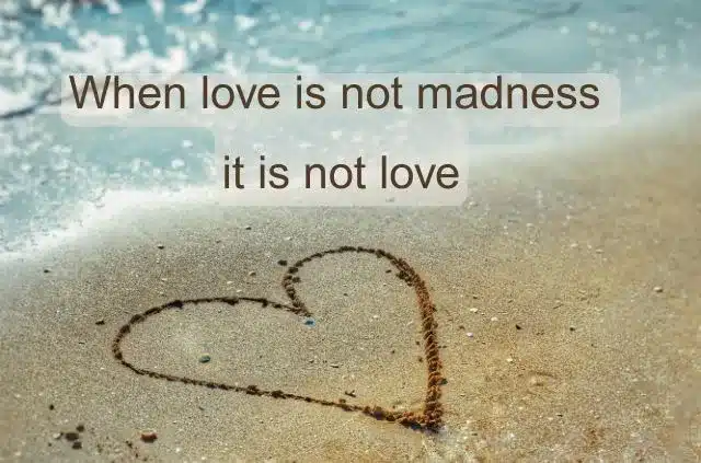 who-said-love-is-a-temporary-madness