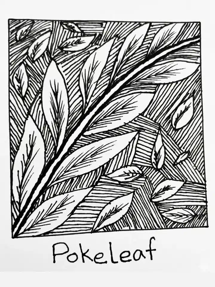pokeleaf-zendoodle-pattern