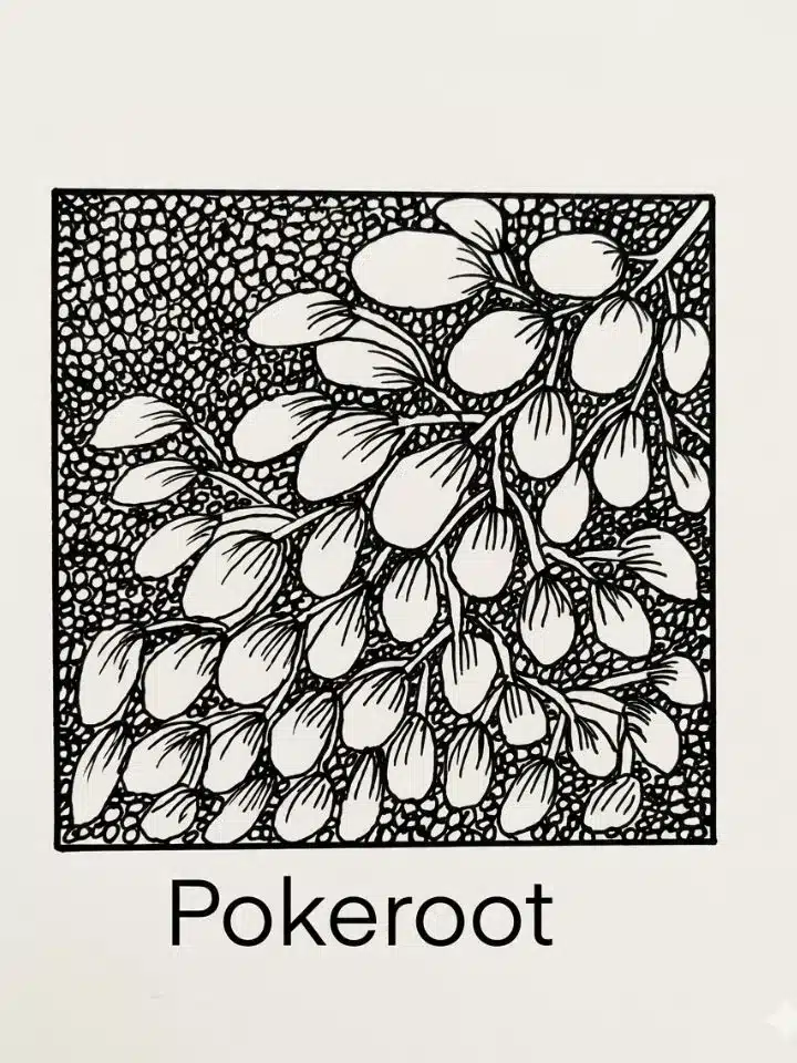pokeroot-zendoodle-pattern