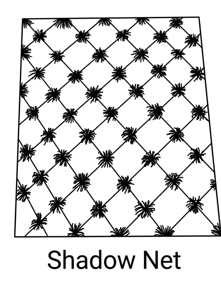 shadow-net-zendoodle-pattern