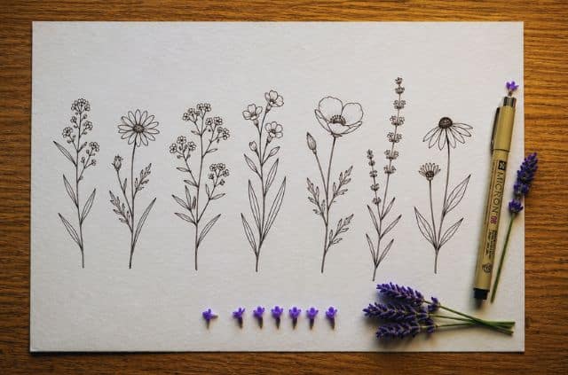 wildflowers-line-drawing