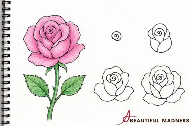rose-summer-doodle-ideas