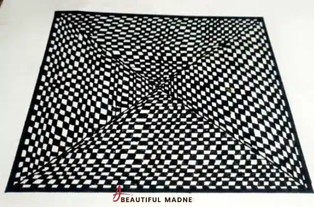 illusion-doodle-art